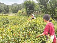 网传杭州一中年外卖员不幸猝死，当地通报：已排除刑事案件可能