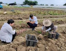 吃火锅吃出“蛆虫”？四川自贡市监局介入调查