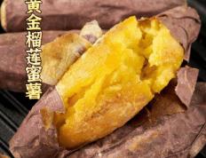 澳门贵宾厅官方网址-【超详细】新疆羊肉串制作秘籍，味蕾狂欢，就在你的手中！