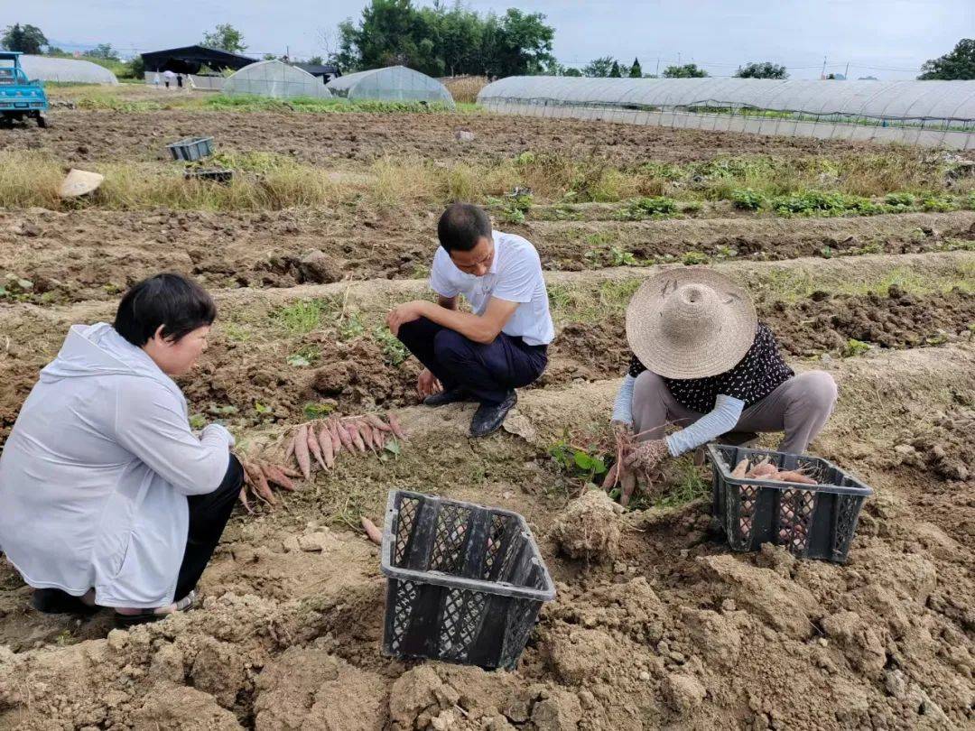 弘扬湘菜文化！2024郑州首届湘菜地标食材美食节落幕