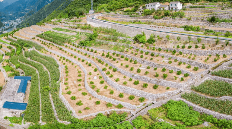 天地娱乐登录路线-“串串房”甲醛超标，租客如何维权？