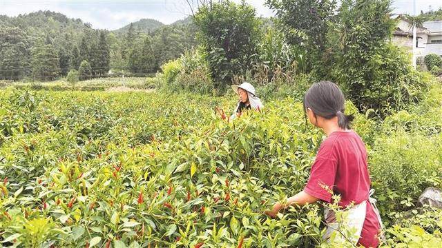 网传杭州一中年外卖员不幸猝死，当地通报：已排除刑事案件可能