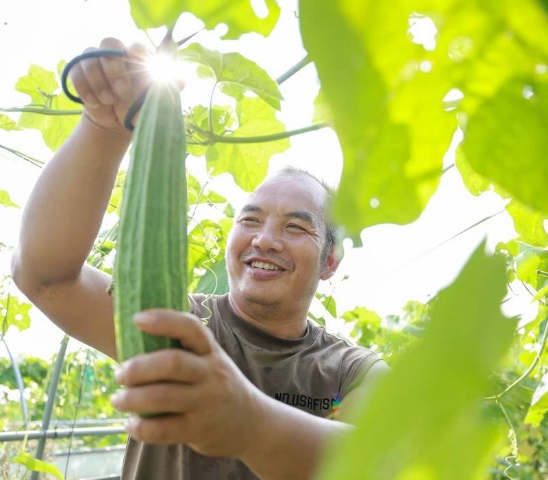 孕妇可以吃辣椒吗？辣妈必看！孕期吃辣椒的正确姿势揭秘！